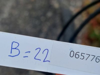 Graanrepubliek_oktober_2024_33